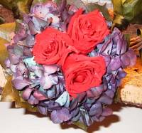 Drei rote Rosen